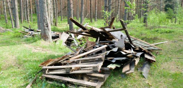 Debris Removal Service in Lake Stevens