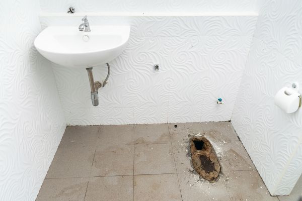 Toilet Disposal in Lake Stevens